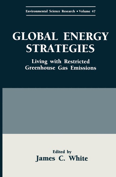 bokomslag Global Energy Strategies