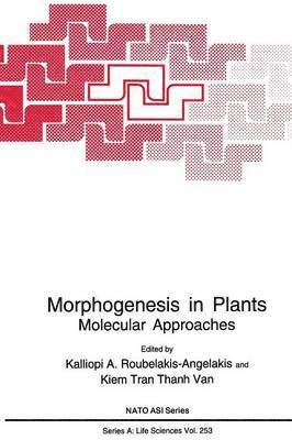 Morphogenesis in Plants 1