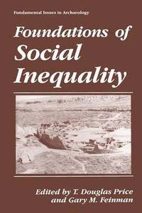 bokomslag Foundations of Social Inequality