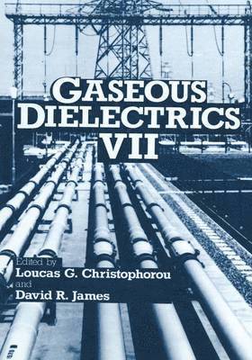 bokomslag Gaseous Dielectrics VII