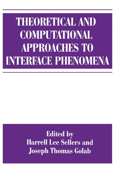 bokomslag Theoretical and Computational Approaches to Interface Phenomena