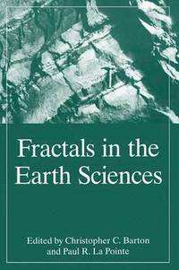 bokomslag Fractals in the Earth Sciences