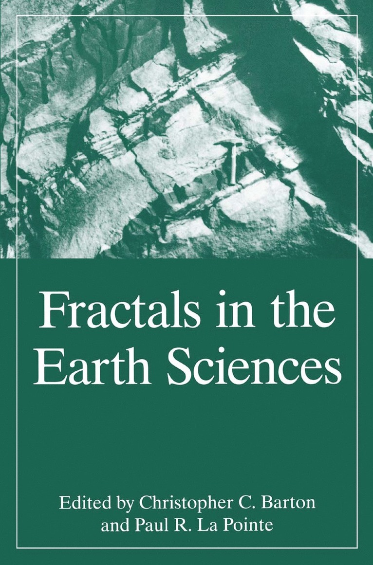 Fractals in the Earth Sciences 1