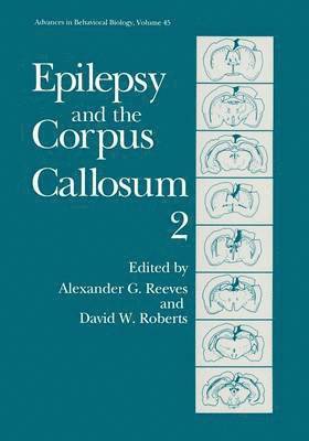 bokomslag Epilepsy and the Corpus Callosum 2