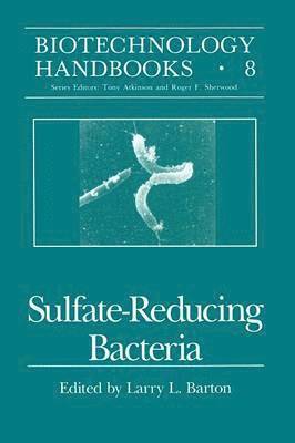 Sulfate-Reducing Bacteria 1