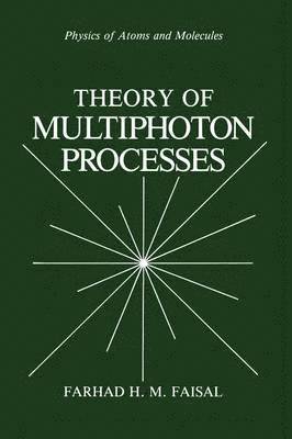 bokomslag Theory of Multiphoton Processes