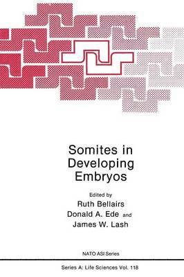 Somites in Developing Embryos 1