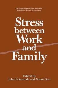 bokomslag Stress Between Work and Family