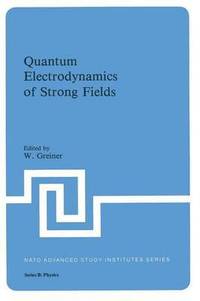 bokomslag Quantum Electrodynamics of Strong Fields