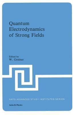 bokomslag Quantum Electrodynamics of Strong Fields