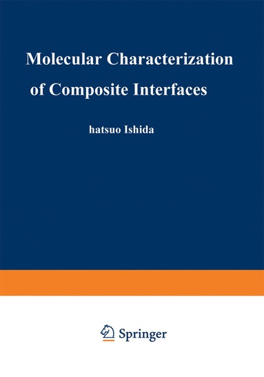 bokomslag Molecular Characterization of Composite Interfaces