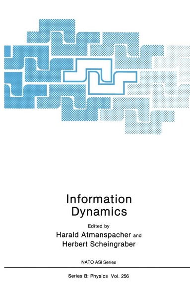 bokomslag Information Dynamics