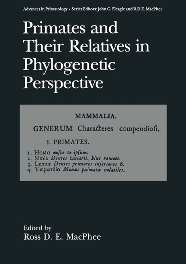 Ross D.E. MacPhee - Primates and Their Relatives in Phylogenetic Perspective, Häftad
