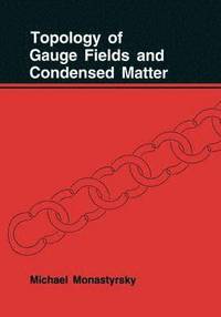 bokomslag Topology of Gauge Fields and Condensed Matter