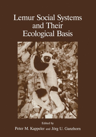 bokomslag Lemur Social Systems and Their Ecological Basis