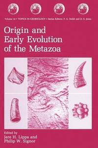 bokomslag Origin and Early Evolution of the Metazoa