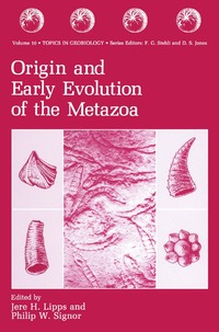 bokomslag Origin and Early Evolution of the Metazoa