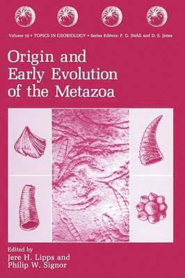 Jere H. Lipps, Philip W. Signor - Origin and Early Evolution of the Metazoa, Häftad