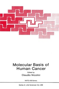 bokomslag Molecular Basis of Human Cancer