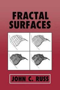 bokomslag Fractal Surfaces