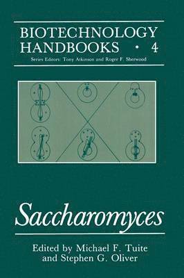 Saccharomyces 1