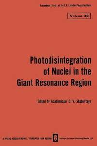 bokomslag Photodisintegration of Nuclei in the Giant Resonance Region