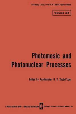 bokomslag Photomesic and Photonuclear Processes