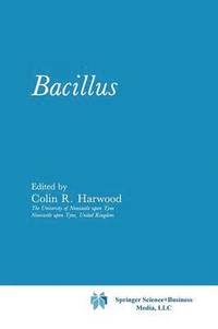 bokomslag Bacillus