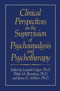 bokomslag Clinical Perspectives on the Supervision of Psychoanalysis and Psychotherapy