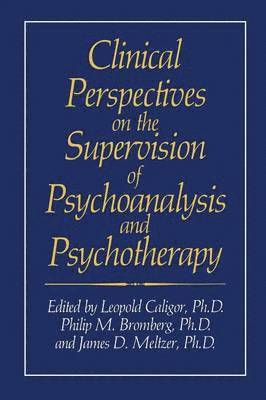 bokomslag Clinical Perspectives on the Supervision of Psychoanalysis and Psychotherapy