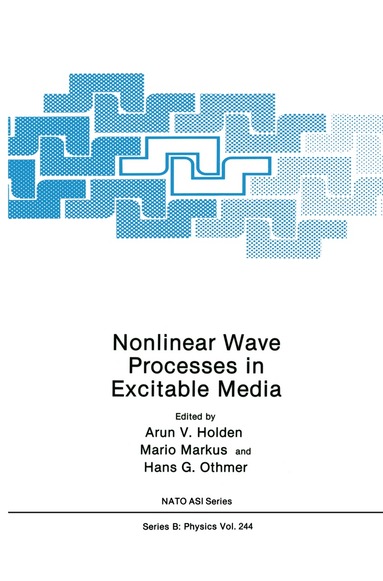 Arunn V. Holden, Mario Markus, Hans G. Othmer - Nonlinear Wave Processes in Excitable Media, Häftad