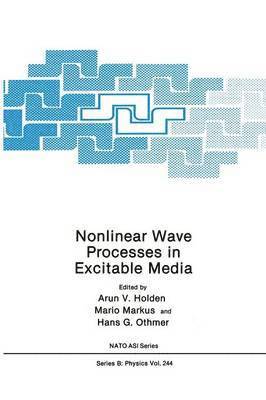 bokomslag Nonlinear Wave Processes in Excitable Media