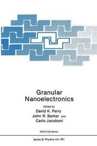 bokomslag Granular Nanoelectronics