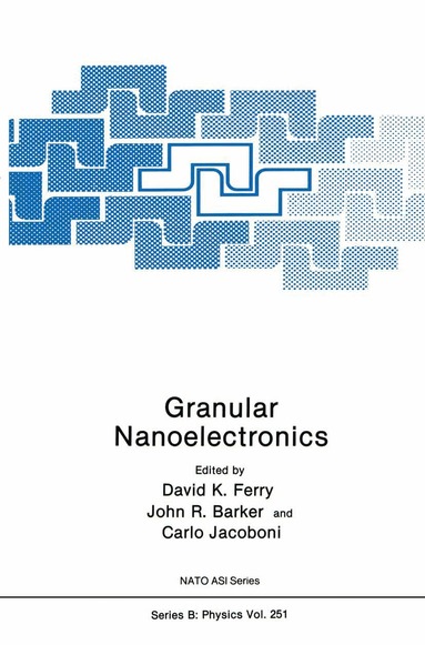 David K. Ferry, John R. Barker, Carlo Jacoboni - Granular Nanoelectronics, Häftad