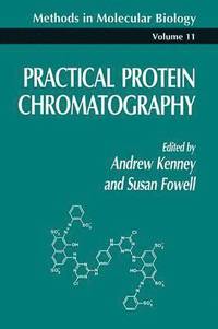 bokomslag Practical Protein Chromatography