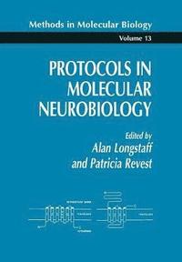 bokomslag Protocols in Molecular Neurobiology