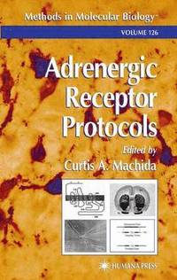 bokomslag Adrenergic Receptor Protocols