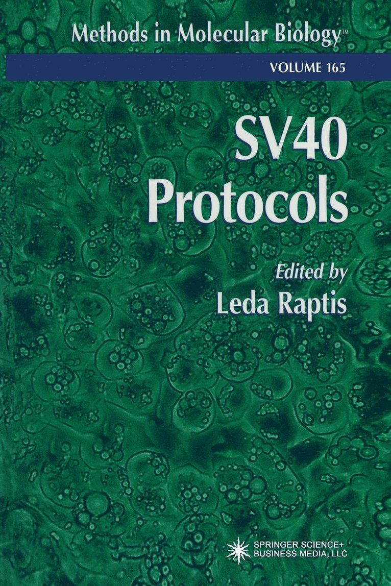 Leda Raptis - SV40 Protocols, Häftad