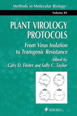 Plant Virology Protocols 1