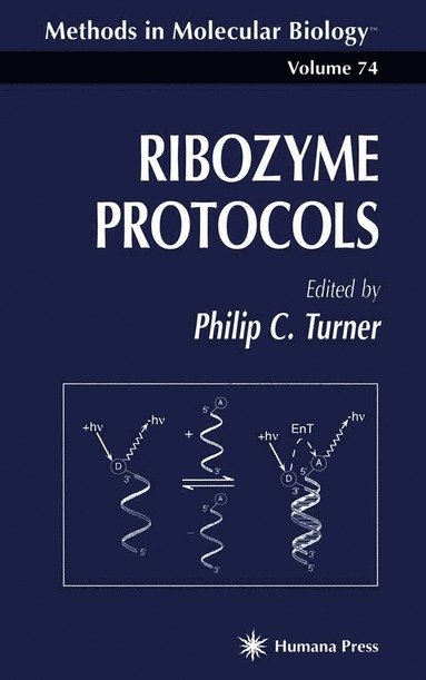 bokomslag Ribozyme Protocols