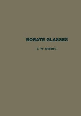 bokomslag Borate Glasses