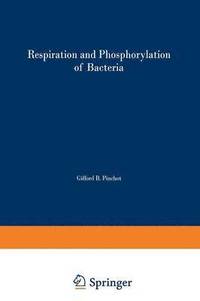 bokomslag Respiration and Phosphorylation of Bacteria