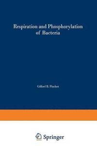 bokomslag Respiration and Phosphorylation of Bacteria