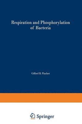 Respiration and Phosphorylation of Bacteria 1