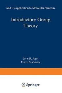 bokomslag Introductory Group Theory