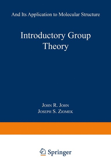 bokomslag Introductory Group Theory