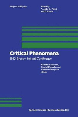 CEAUSESCU, COSTACHE, GEORGESCU, Ceausescu, Costache, Georgescu - Critical Phenomena, Häftad