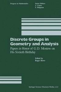 bokomslag Discrete Groups in Geometry and Analysis