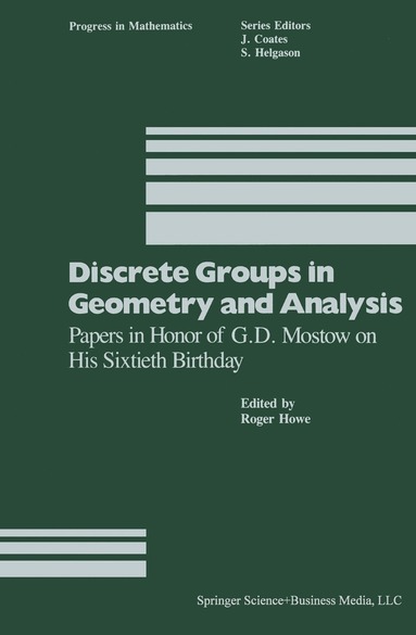 bokomslag Discrete Groups in Geometry and Analysis