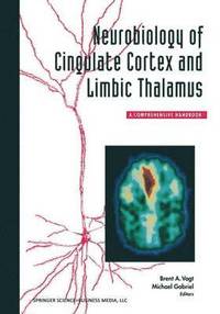 bokomslag Neurobiology of Cingulate Cortex and Limbic Thalamus